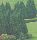 在线手机号轰炸测试