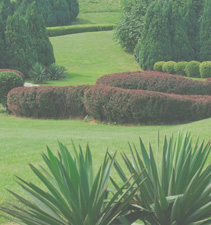 云呼短信测压网页版