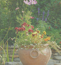 在线手机号轰炸测试